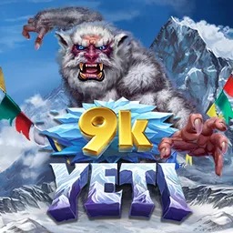 9K-Yeti